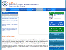 Tablet Screenshot of nicci.org